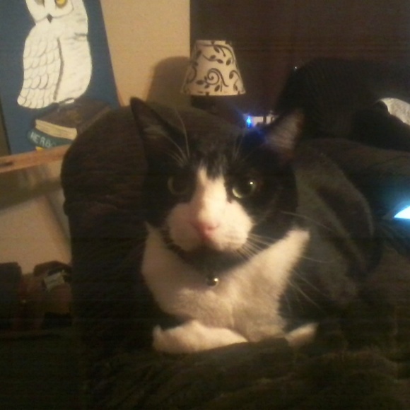 Meet your Posher, Rebecca - Picture 1 of 1